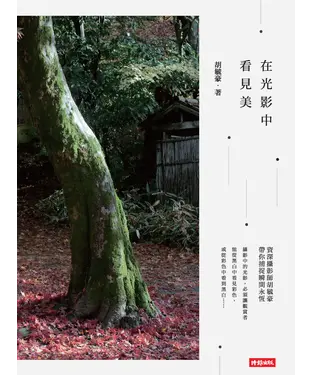 書封 在光影中看見美